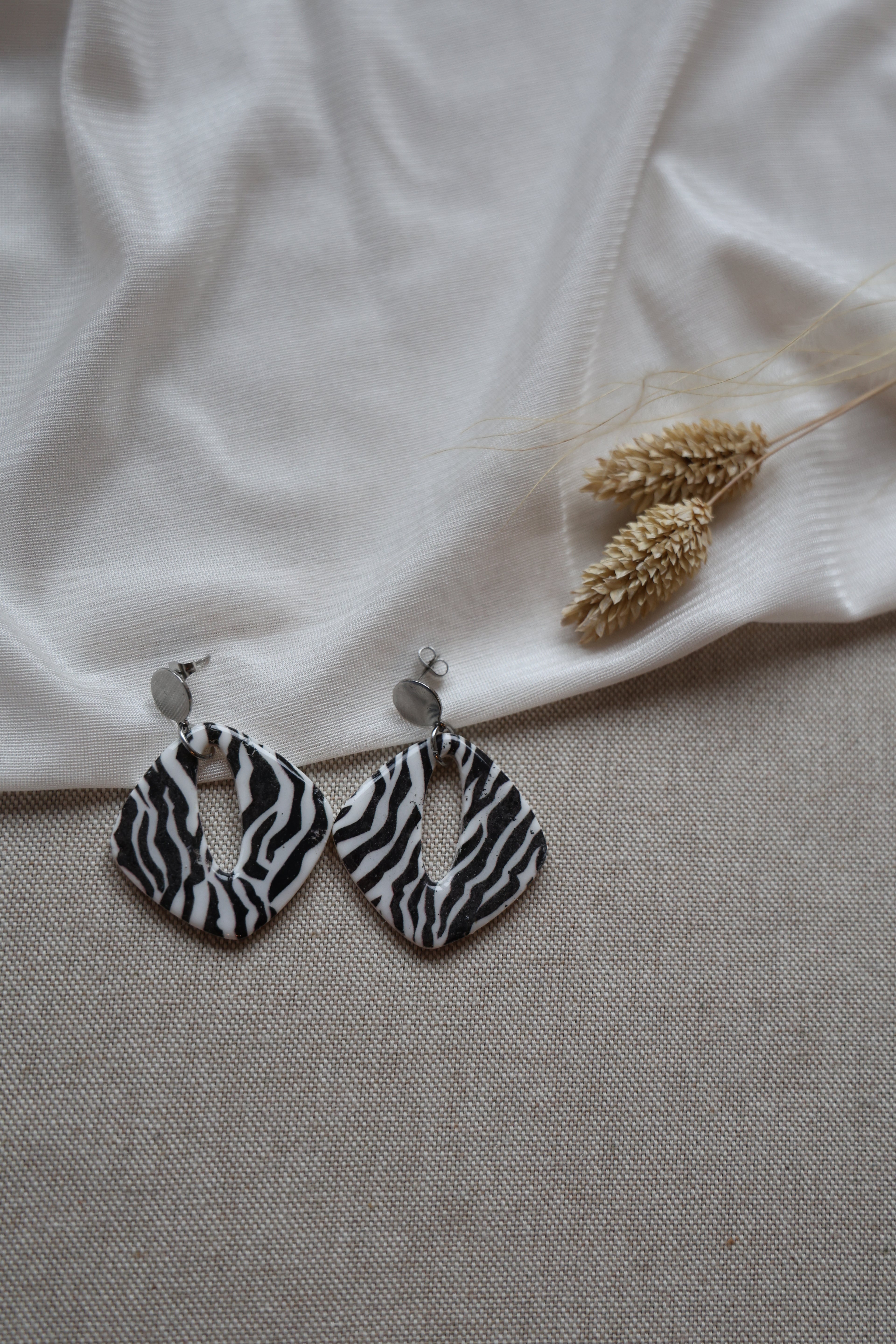 Zebra Stella